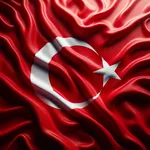 Instant Native Translator (English-Turkish)