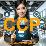 CCP Certified Cloud Practitioner Exam Prep