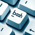 Bash Scripting