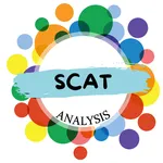 質的研究：SCAT分析専用API